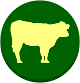 ico06 ico06