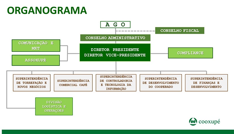 organograma-2020